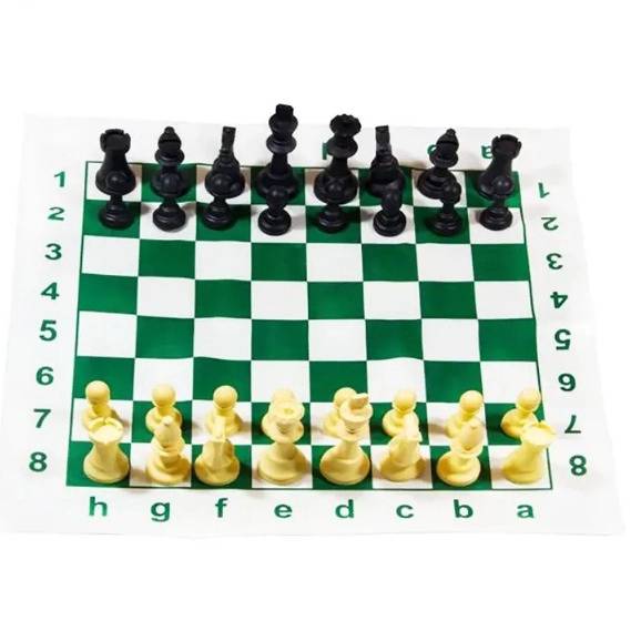 1692424655557.webp