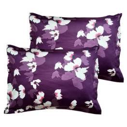 1692789295968.webp
