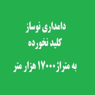 1693656545741.webp