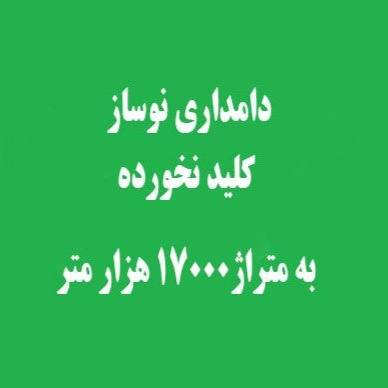 1693656749833.webp