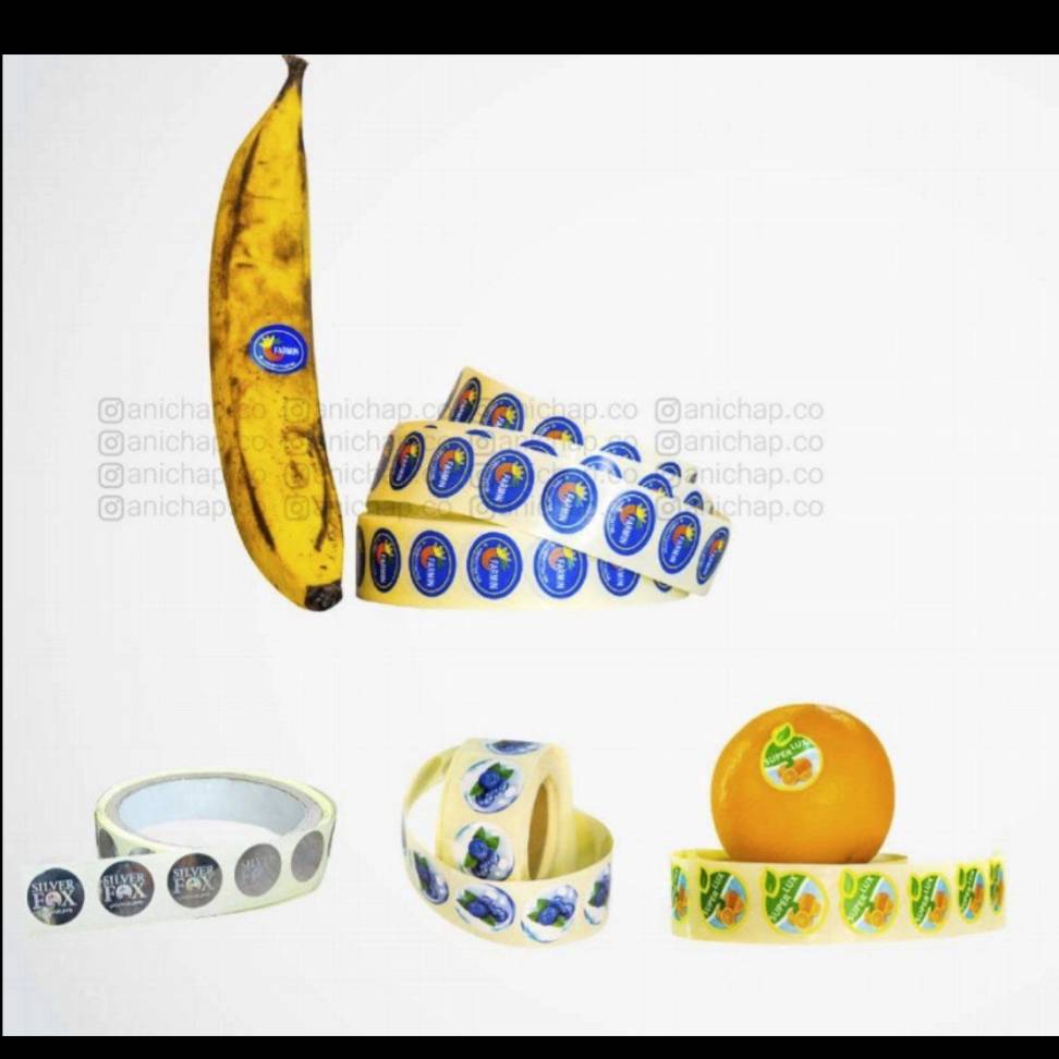 1697007588631.webp