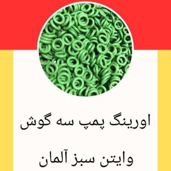 1703755750767.webp