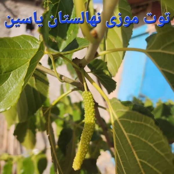1704266890810.webp