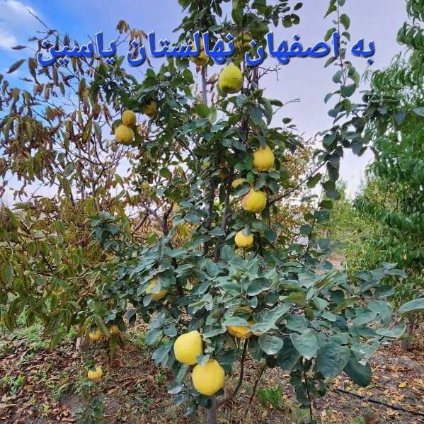 1704267026507.webp
