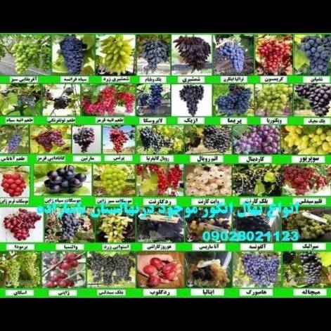 1715407804433.webp