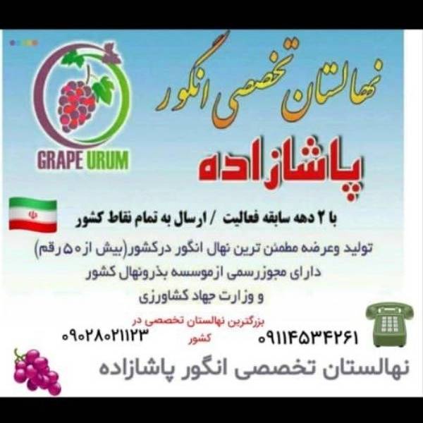 1715408664833.webp