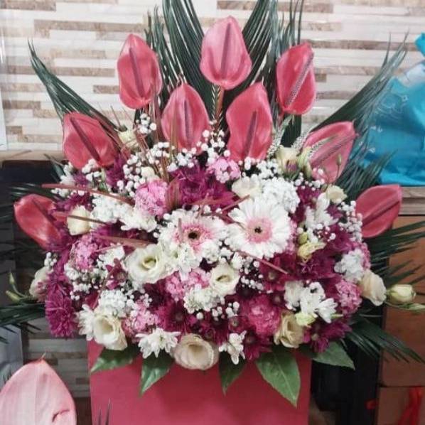1715410832775.webp