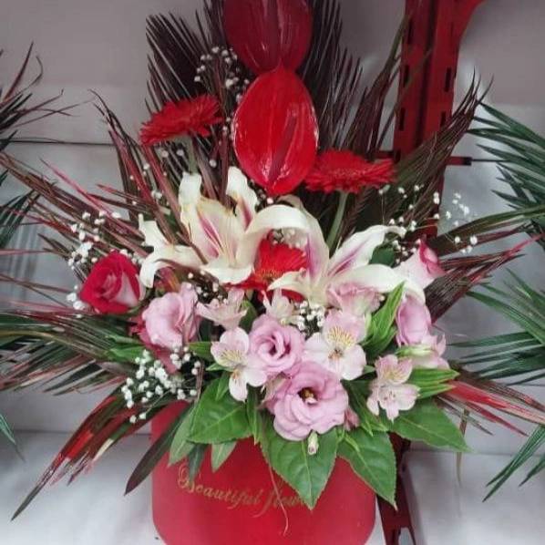 1715411348371.webp