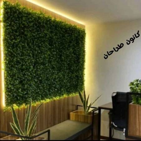 1718087228999.webp