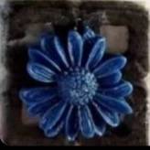 1719255527868.webp