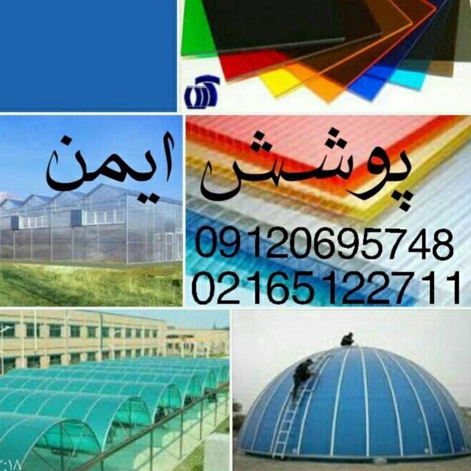 1726316723232.webp
