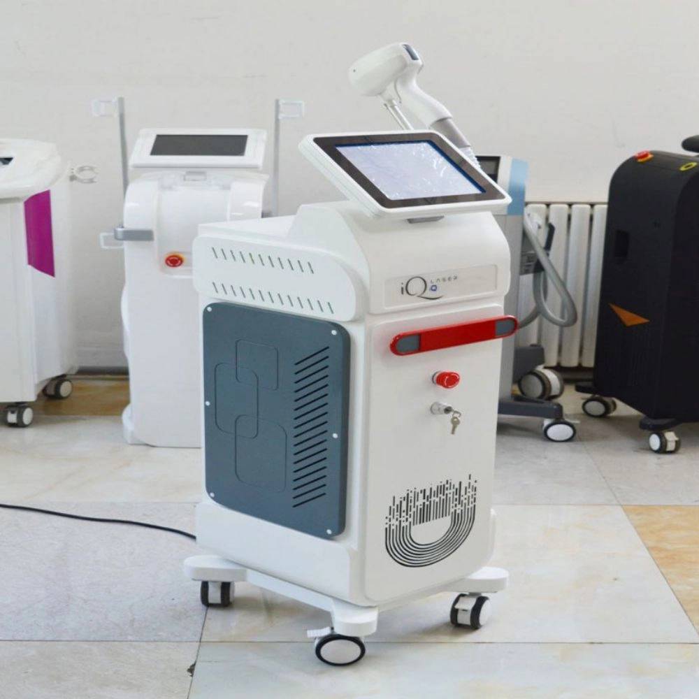 1732967212727.webp