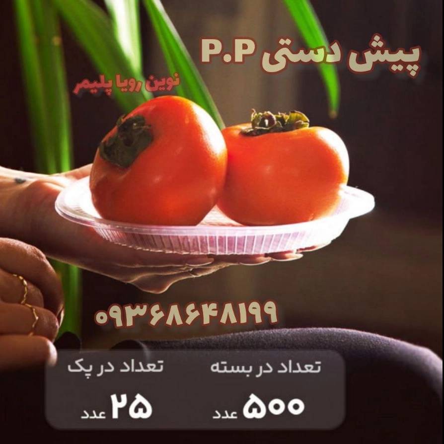 1740045037071.webp