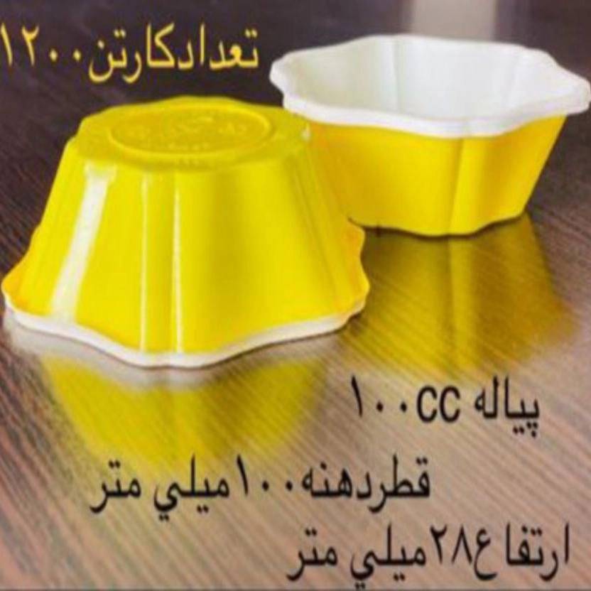 1763194186594.webp