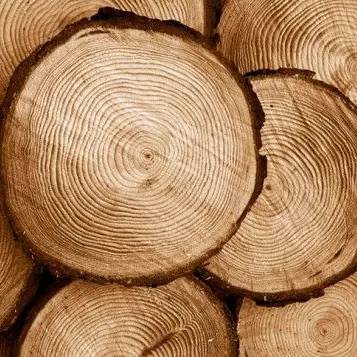 1697882282151.webp