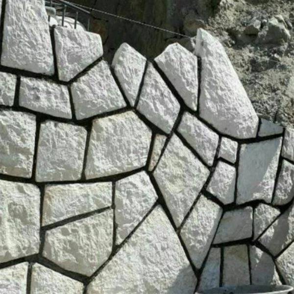 1698911747852.webp