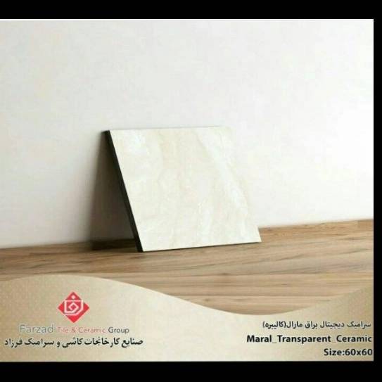 1699773684039.webp