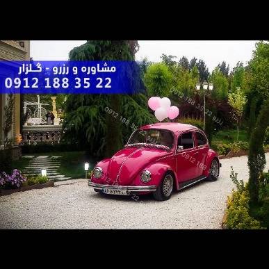 1701338990464.webp