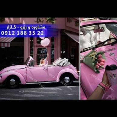 1701339293407.webp