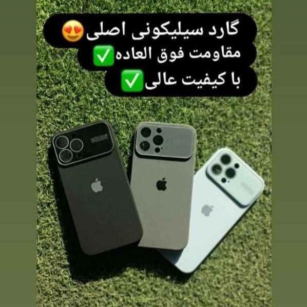 1702189362078.webp