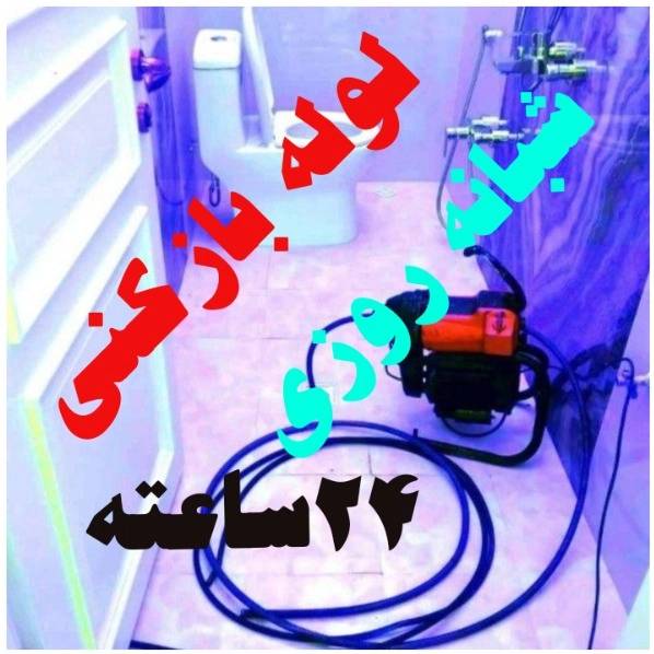 1703244546246.webp