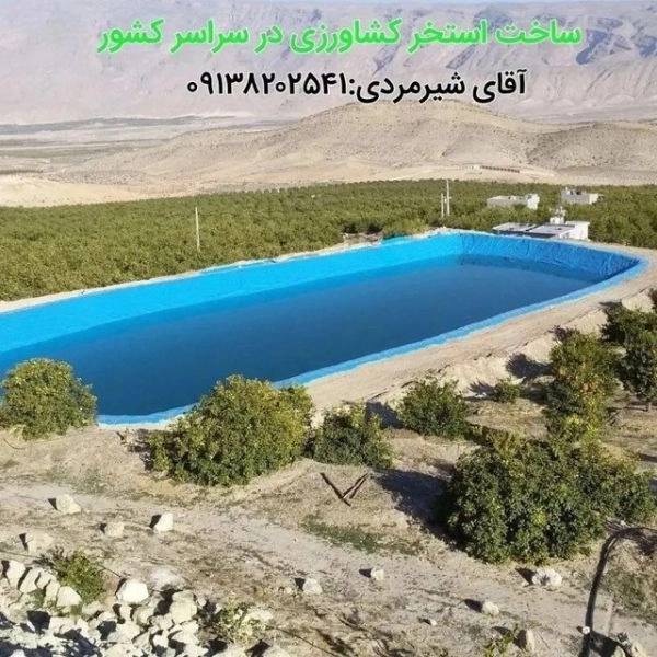 1703409678923.webp