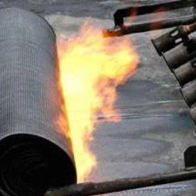 1703412762458.webp