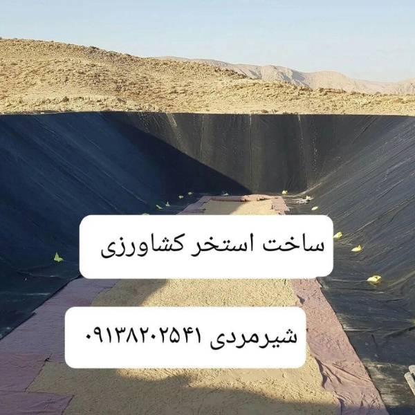 1703753234168.webp