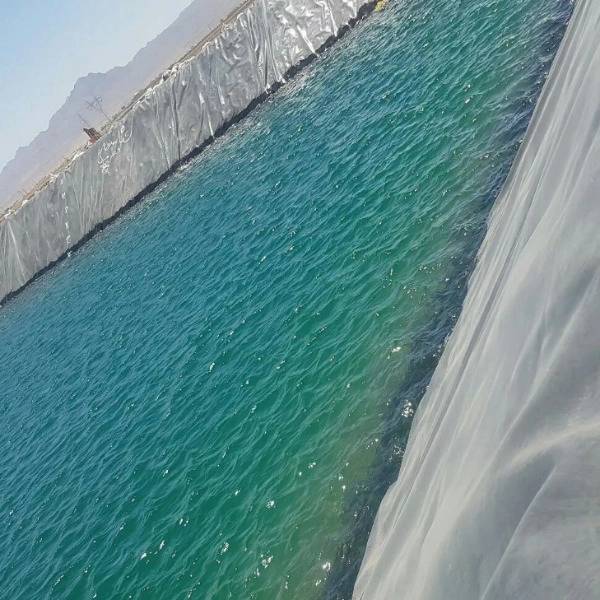 1703753262886.webp
