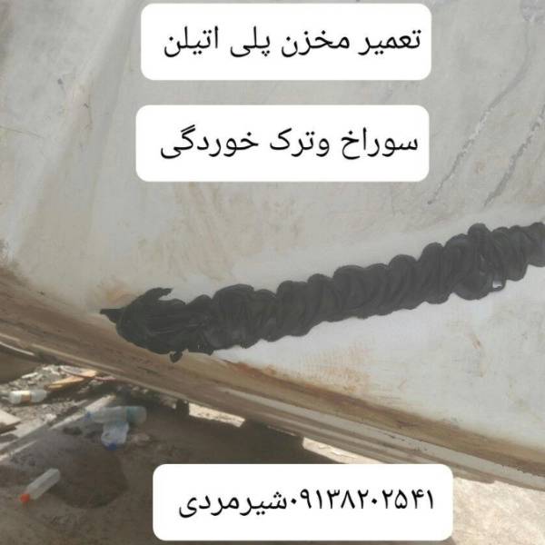 1703753314062.webp