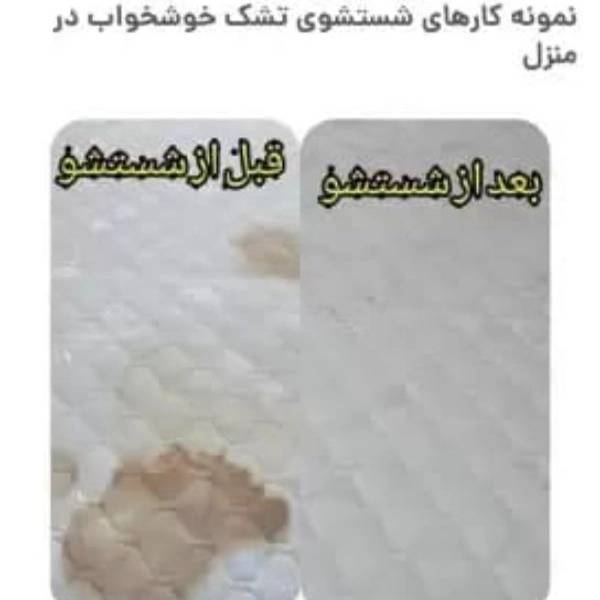 1707913565904.webp