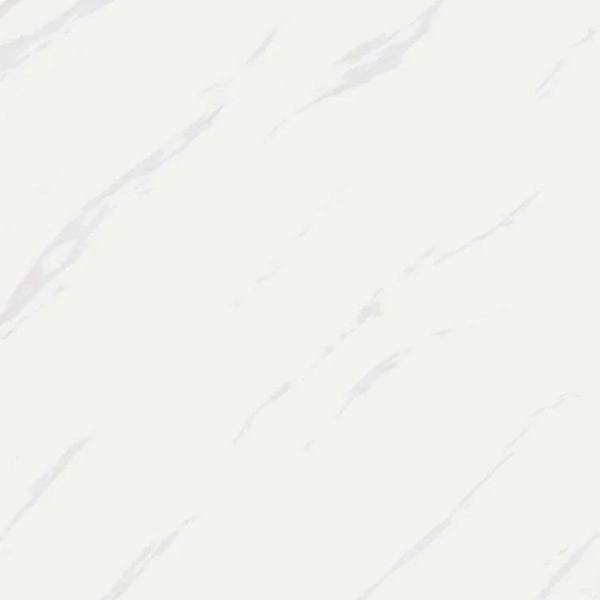 1709110574632.webp