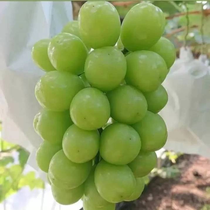 1709635116962.webp