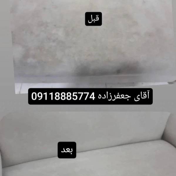 1713079784456.webp