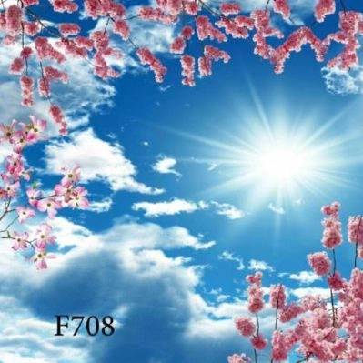 1713435425522.webp