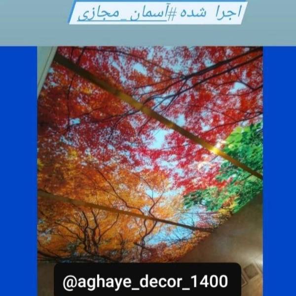 1713684730291.webp