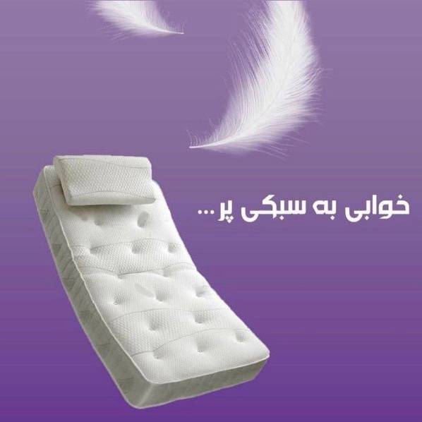 1713953702431.webp