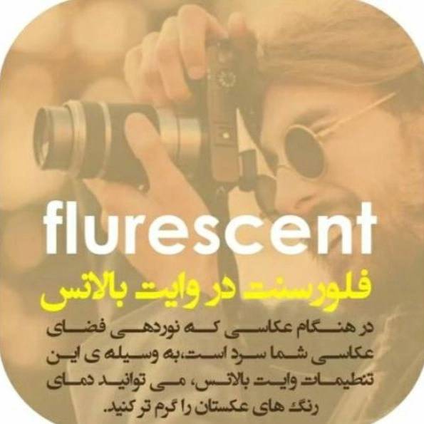 1714379835979.webp