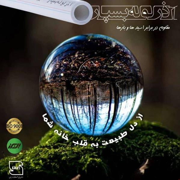 1714626141263.webp