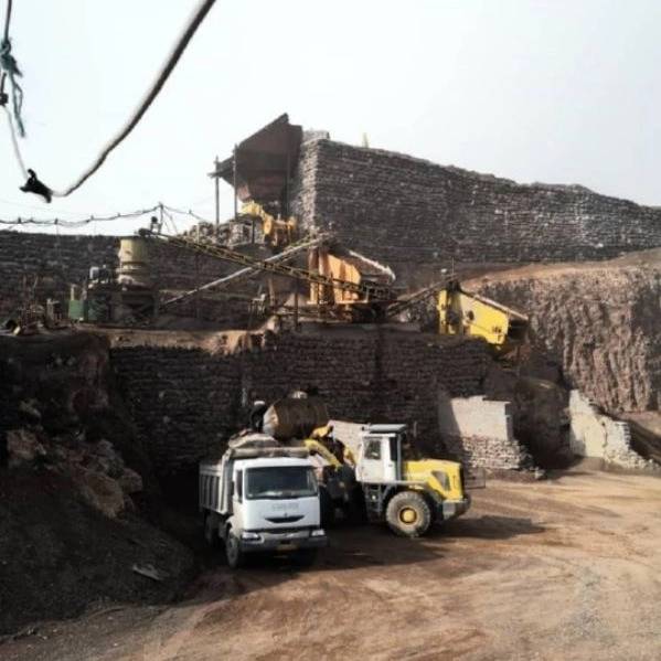 1715672561692.webp