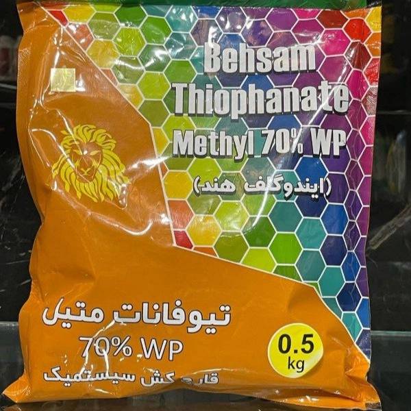 1716120691811.webp