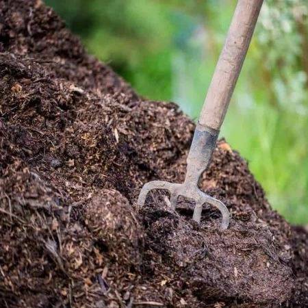 1716288420627.webp