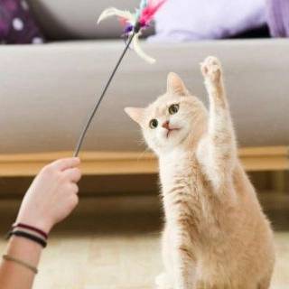 1719394320468.webp