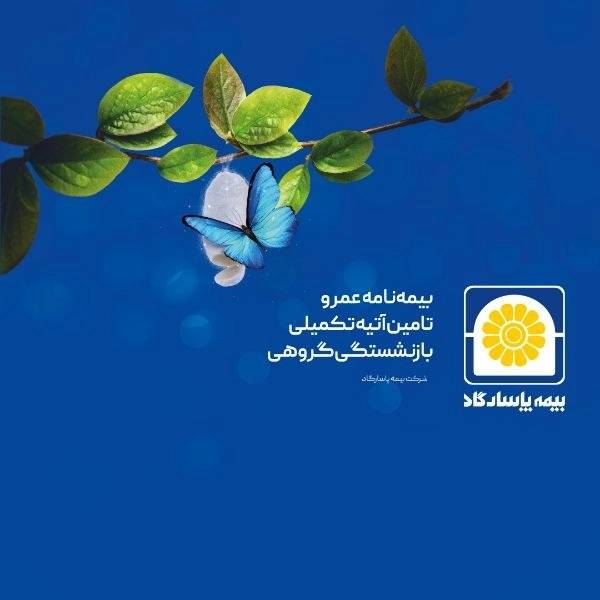 1721818235300.webp