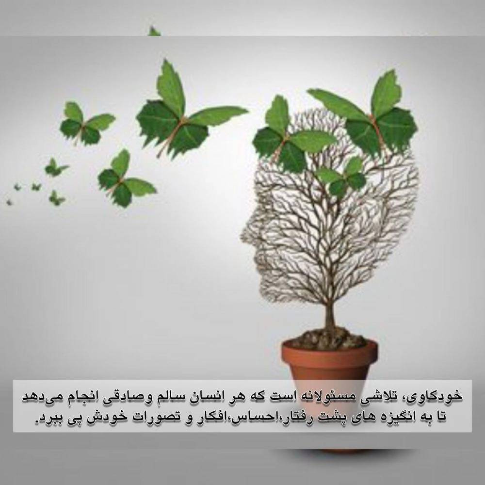 1726484633404.webp