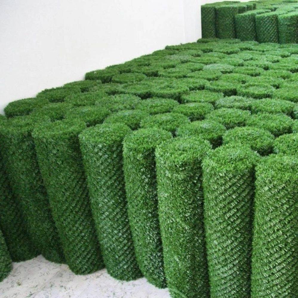 1727174476634.webp