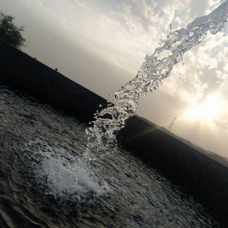 1727258181233.webp