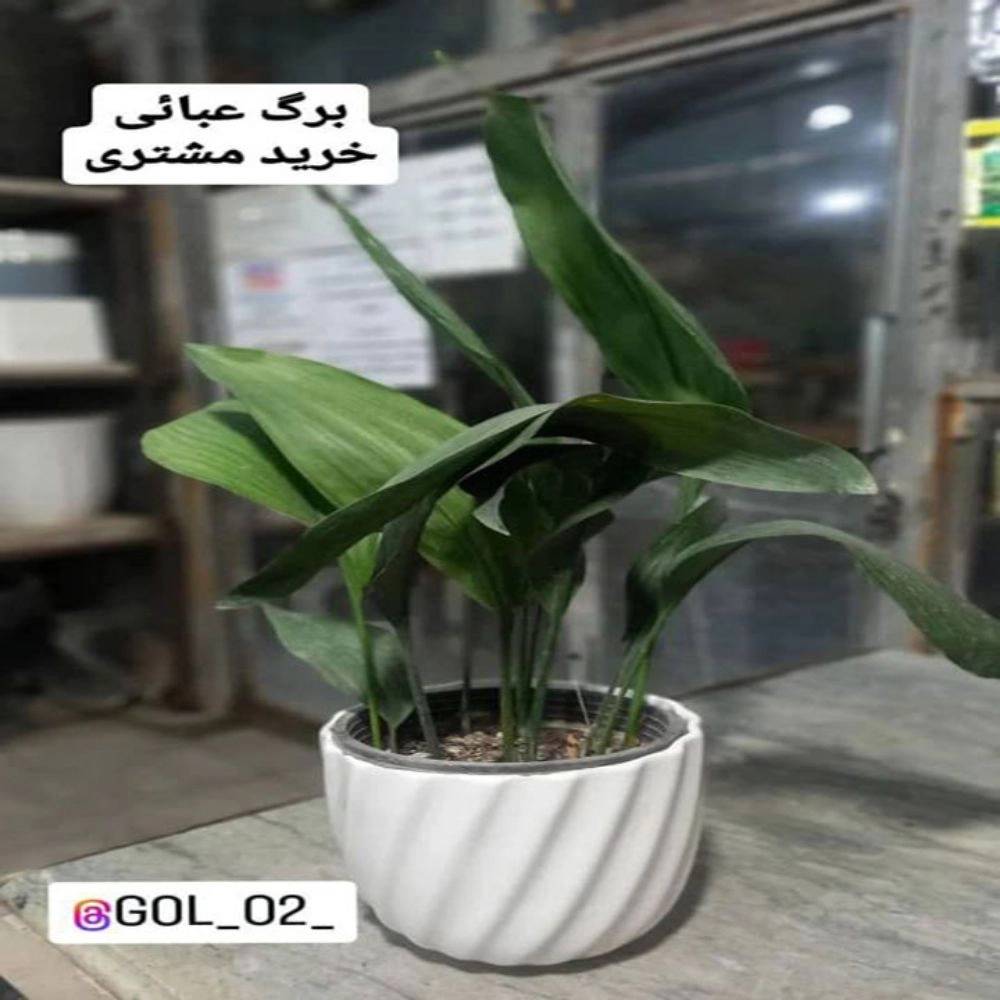 1731483918300.webp