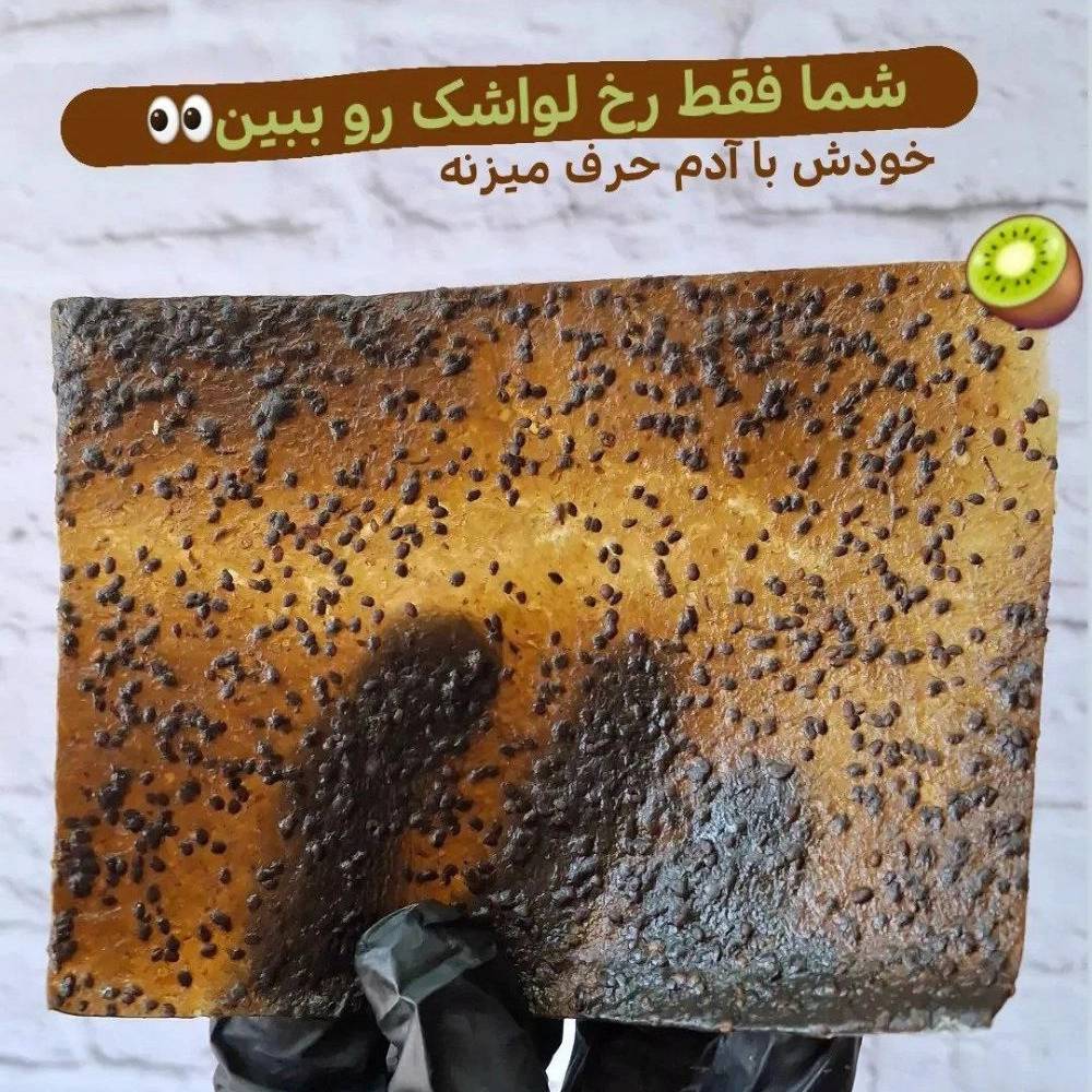 1732691464509.webp
