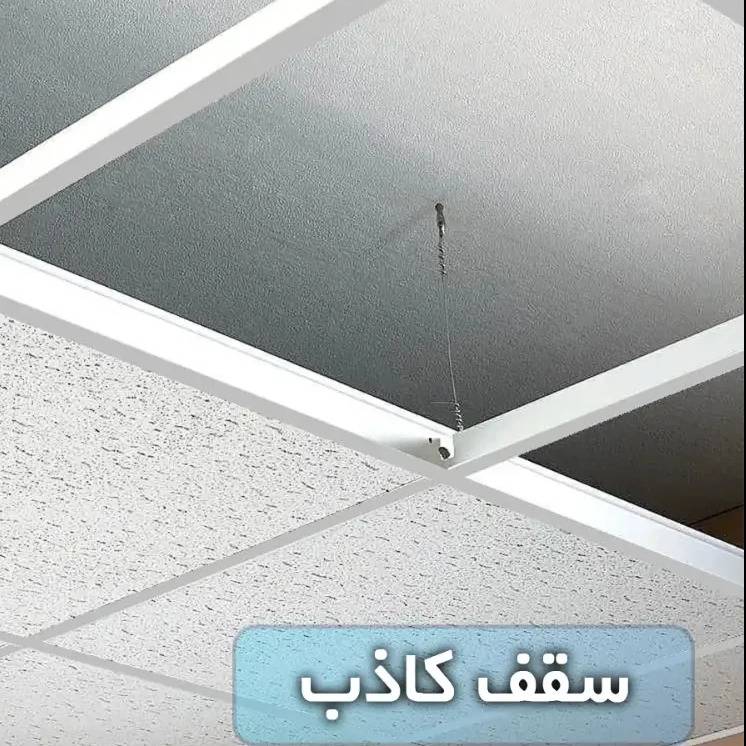 1733917930472.webp